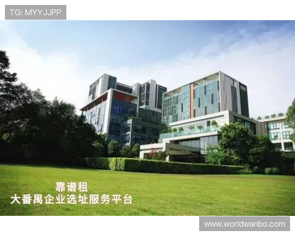 万博网络科技有限公司：致力于互联网技术的持续创新与优化，提升客户体验与满意度